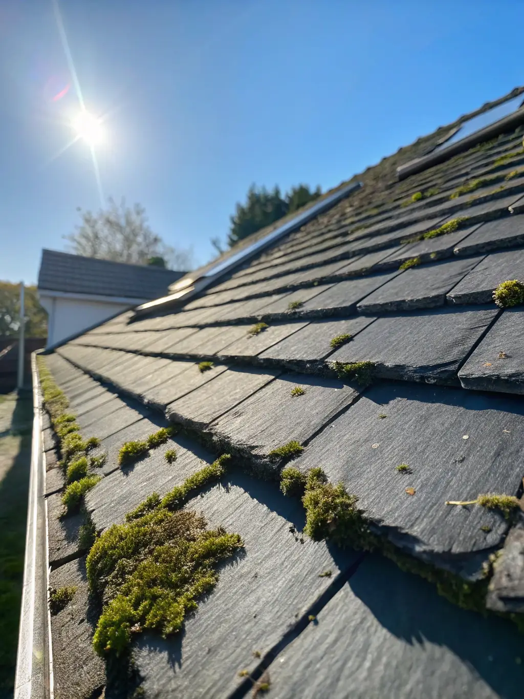 A close-up of a roof being gently cleaned with a soft washing system, showing the removal of algae and moss without damaging the shingles, highlighting Mojo Pressure Washing's soft washing expertise.