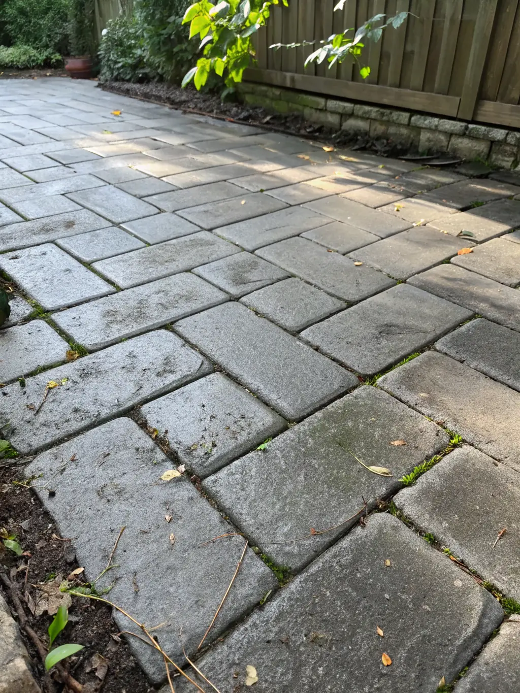 A freshly cleaned paver patio with sealed pavers, showcasing vibrant colors and a clean surface free of weeds and stains, illustrating the benefits of Mojo Pressure Washing's paver cleaning and sealing.